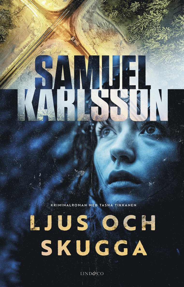 Samuel Karlsson - Ljus och skugga, E-bok