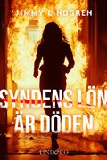 Syndens ln r dden