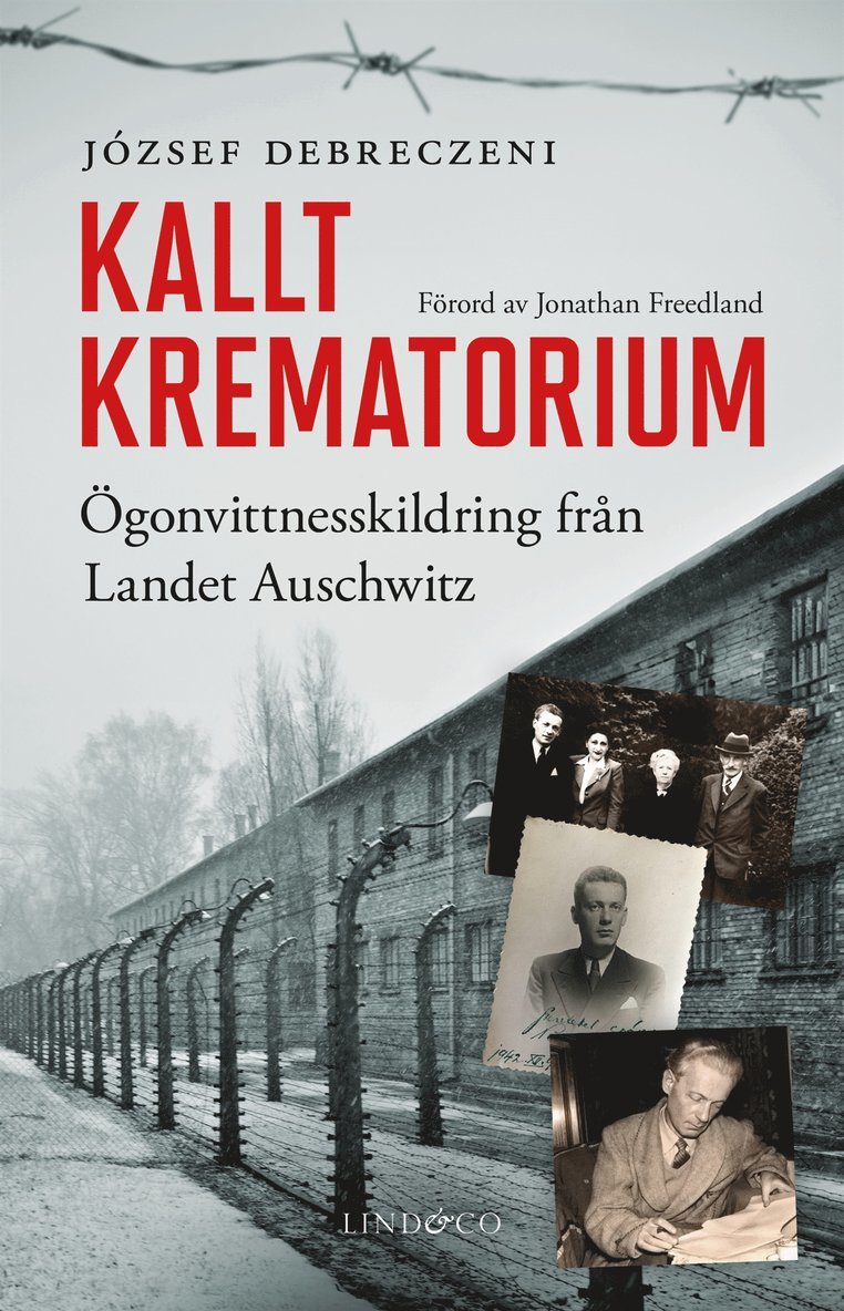 József Debreczeni - Kallt krematorium, E-bok