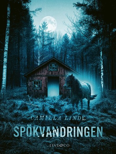 Camilla Linde - Spökvandringen, Inbunden