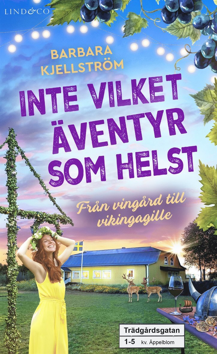 Barbara Kjellström - Inte vilket äventyr som helst : Från vingård till vikingagille, E-bok