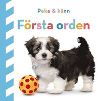 Peka och k�nn : F�rsta orden