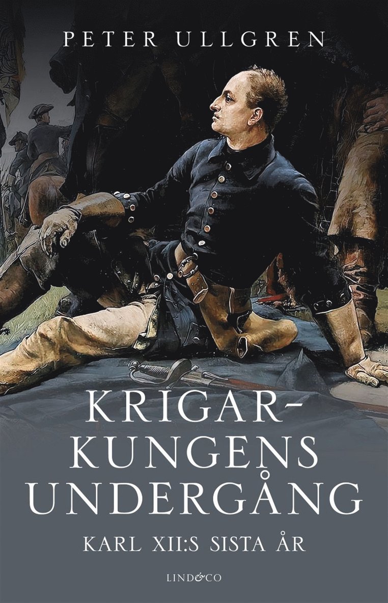 Peter Ullgren - Krigarkungens undergång : Karl XII:s sista år, E-bok
