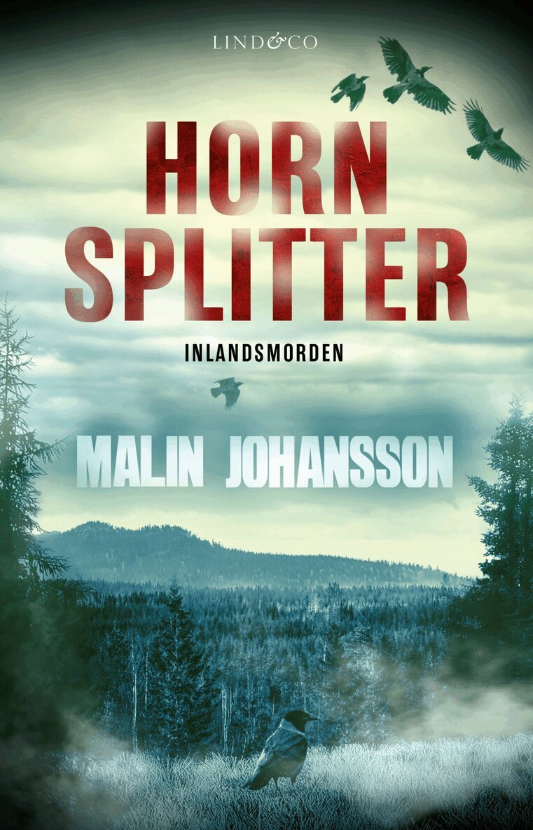 Malin Johansson - Hornsplitter, Inbunden
