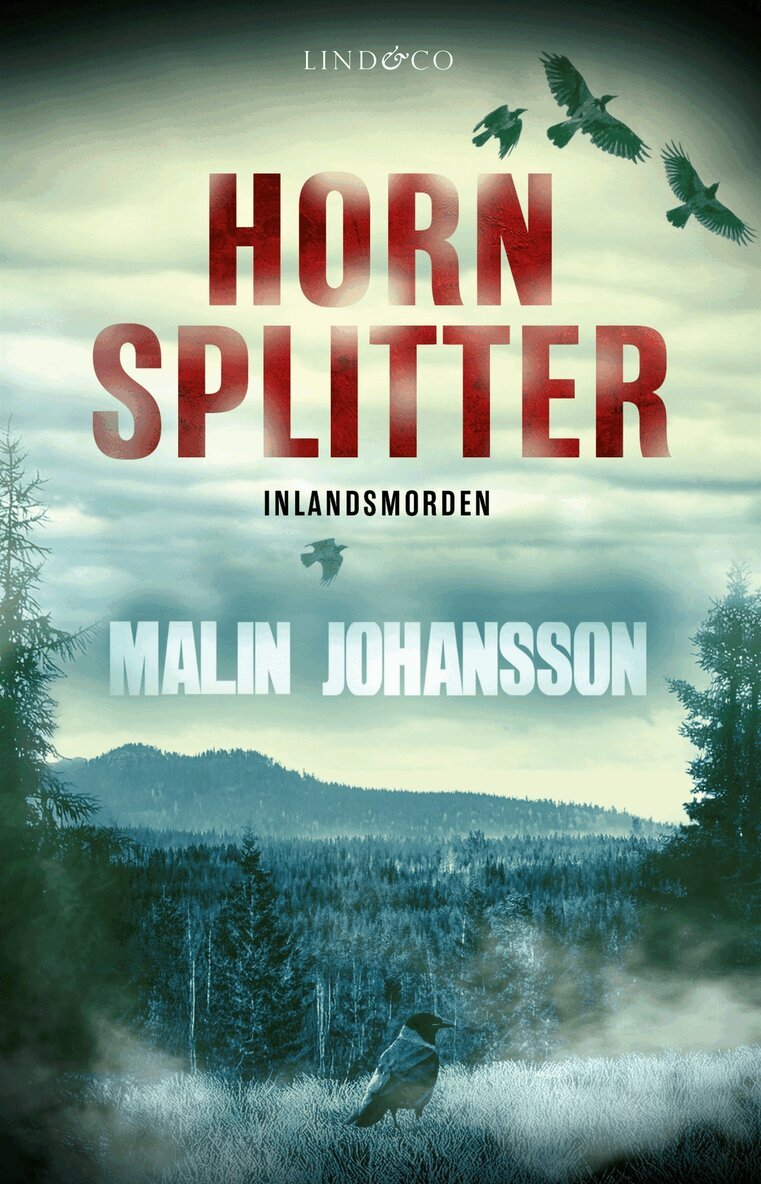 Malin Johansson - Hornsplitter, E-bok
