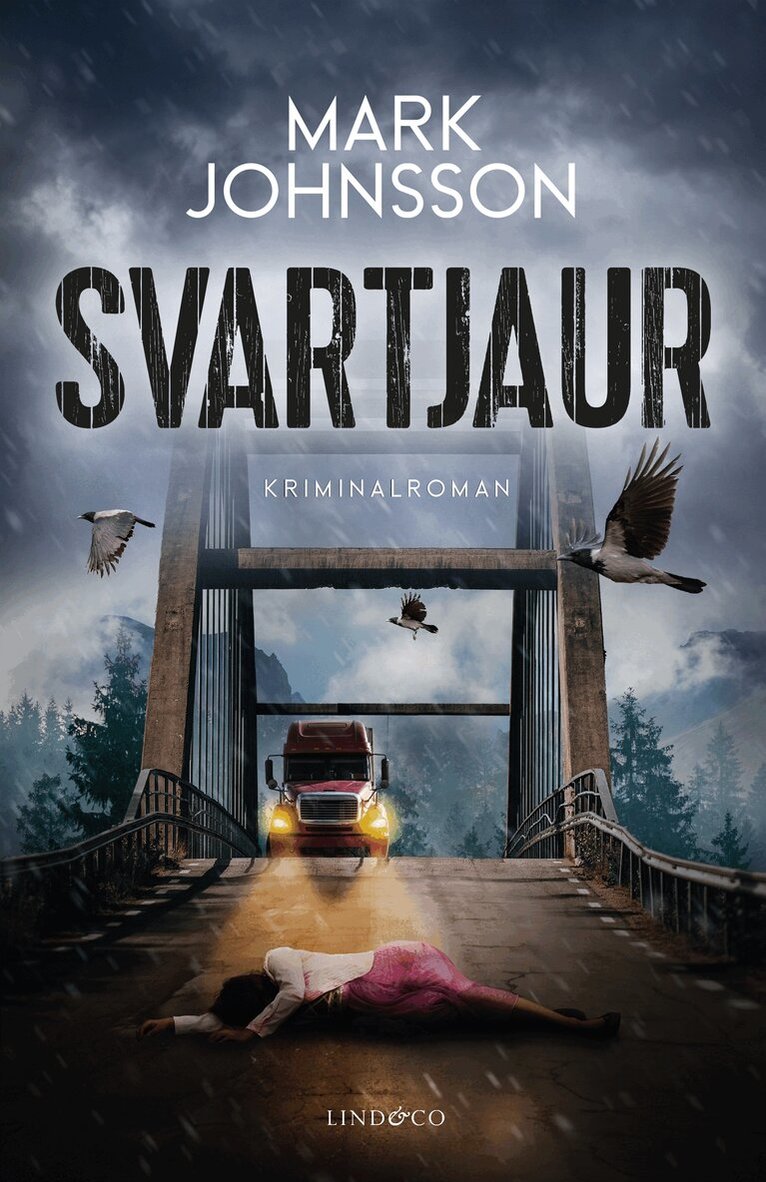 Mark Johnsson - Svartjaur, E-bok