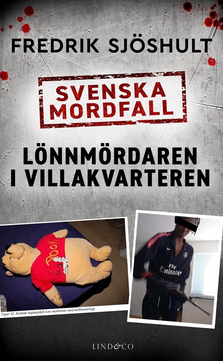 Fredrik Sjöshult - Svenska mordfall: Lönnmördaren i villakvarteren, E-bok