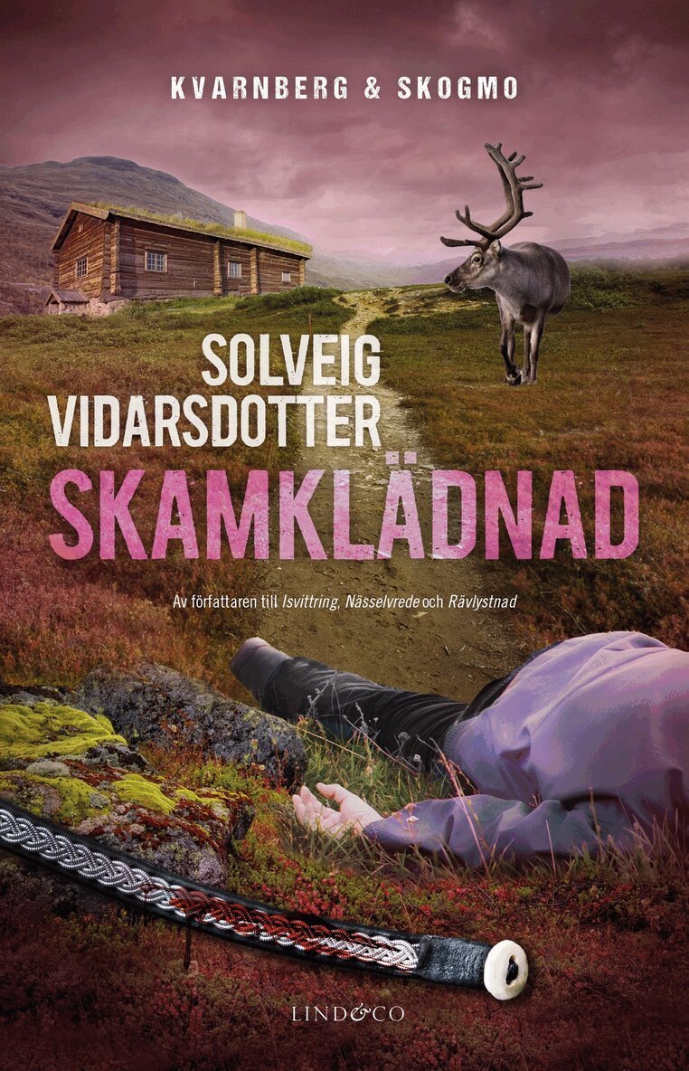 Solveig Vidarsdotter - Skamklädnad, E-bok