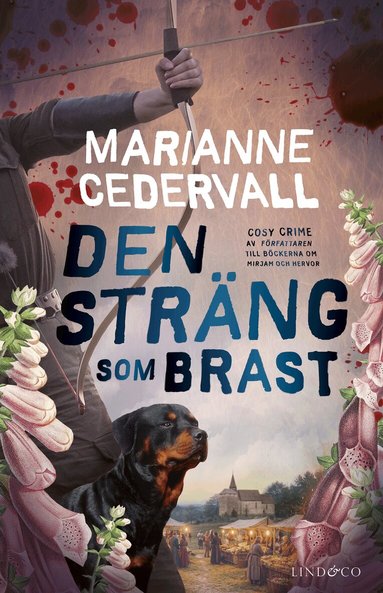 Marianne Cedervall - Den sträng som brast, Inbunden
