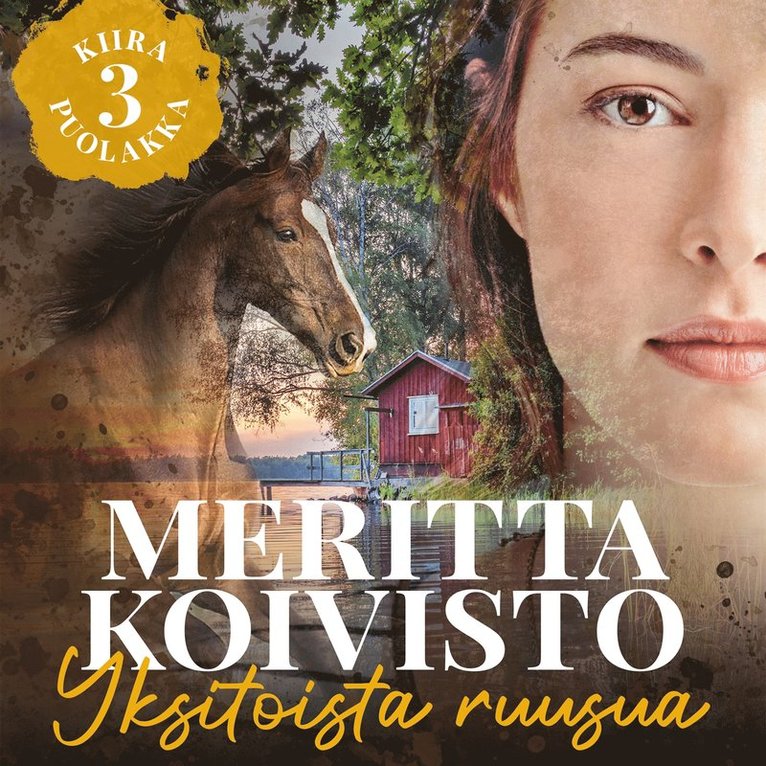 Meritta Koivisto - Yksitoista ruusua, Ljudbok
