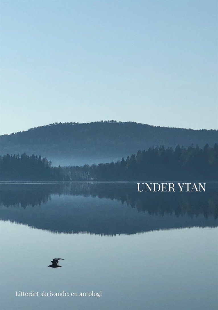 Hola Folkhögskola - Under ytan: en antologi - Litterärt skrivande, Hola 21-22, E-bok