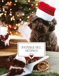 Julbaka till hunden : Alla julens godsaker