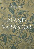Bland vra skor