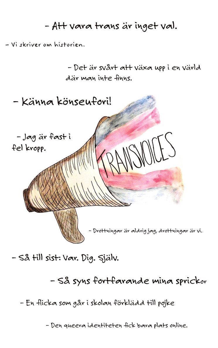 Jenny Momquist - Transvoices, E-bok