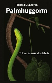 Palmhuggorm : Trimeresurus albolabris