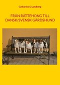 Frn Rttehong till Dansk/svensk grdshund