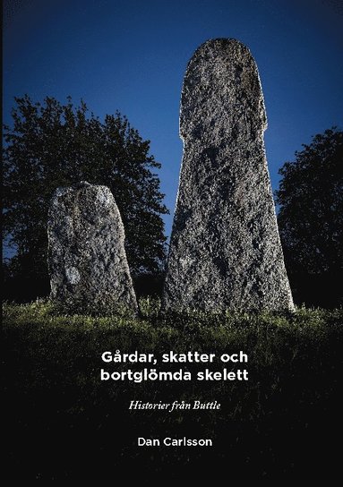 Gårdar skatter och bortglömda skelett : Historier om Buttle