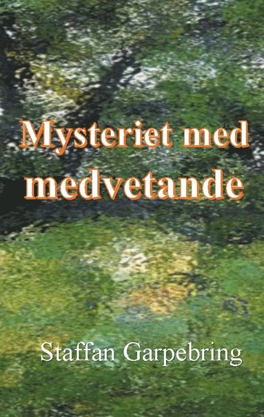 Staffan Garpebring Mysteriet med medvetande