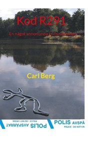 Kod R291: En något annorlunda kriminalroman