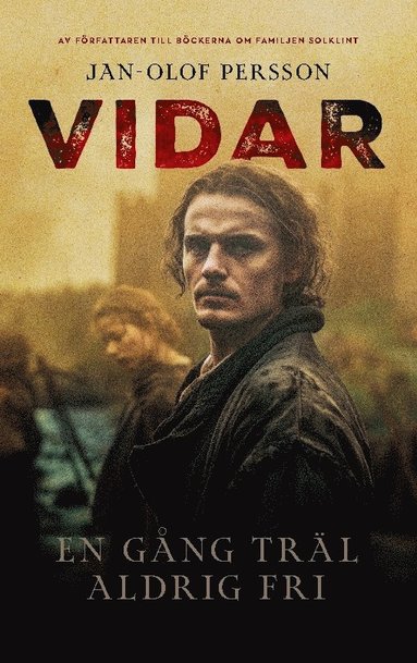 Vidar : En berättelse om relationer och gärningar under 800-talet på Ringst