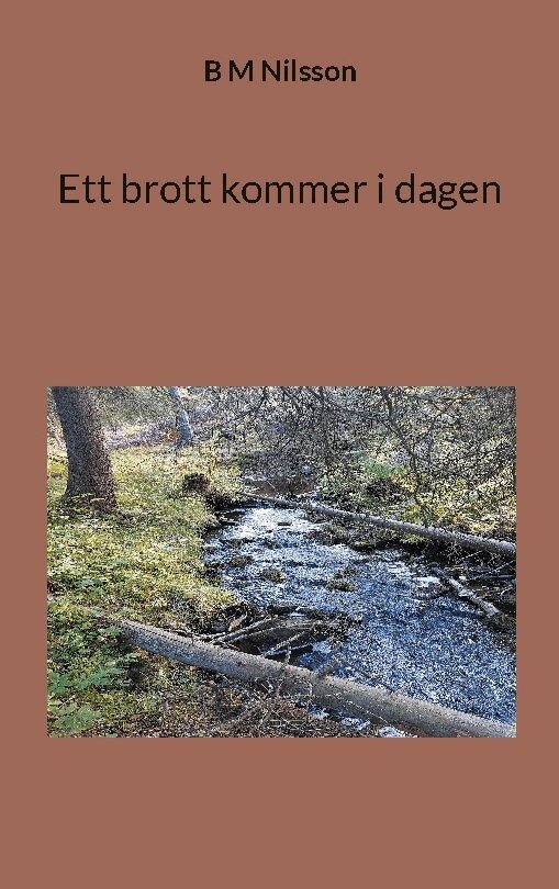 B.M. Nilsson - Ett brott kommer i dagen, Häftad