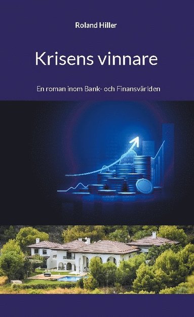 Krisens vinnare : en roman inom bank- och finansvärlden