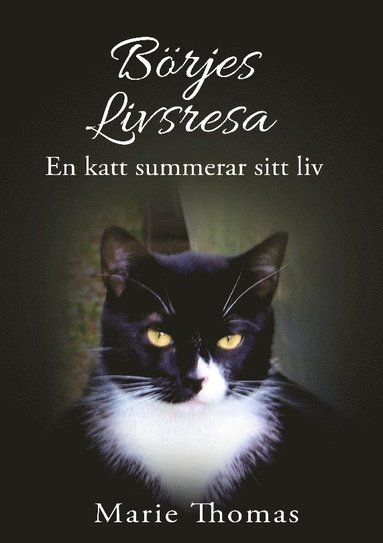 Börjes livsresa : en katt summerar sitt liv