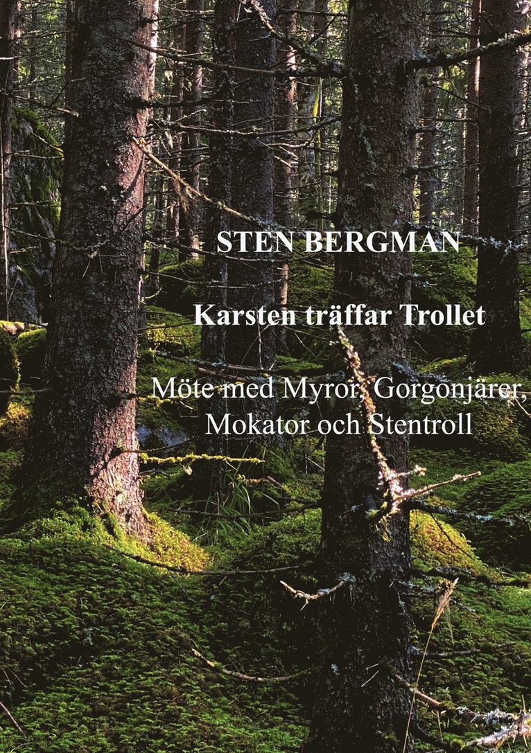 Sten Bergman - Karsten träffar Trollet: Möte med Myror, Gorgonjärer, Mokator och Stentroll, E-bok
