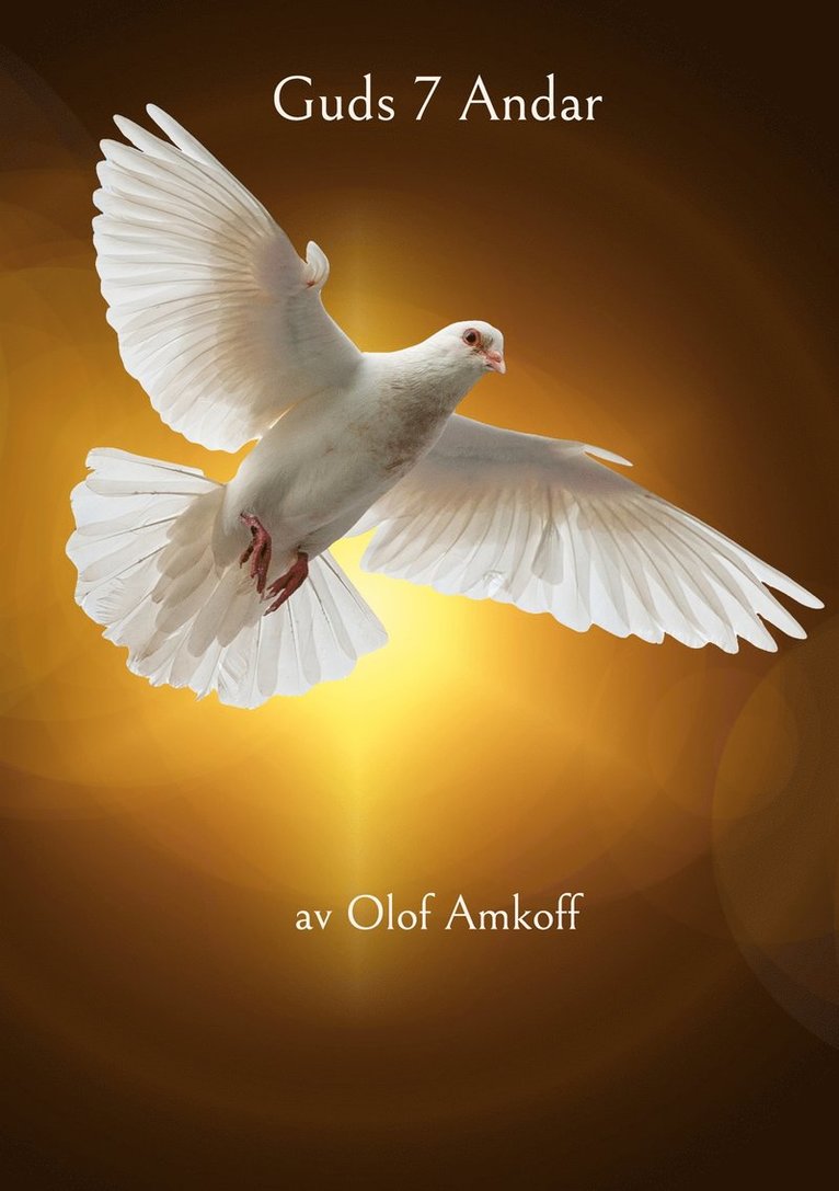 Olof Amkoff - Guds 7 Andar, E-bok
