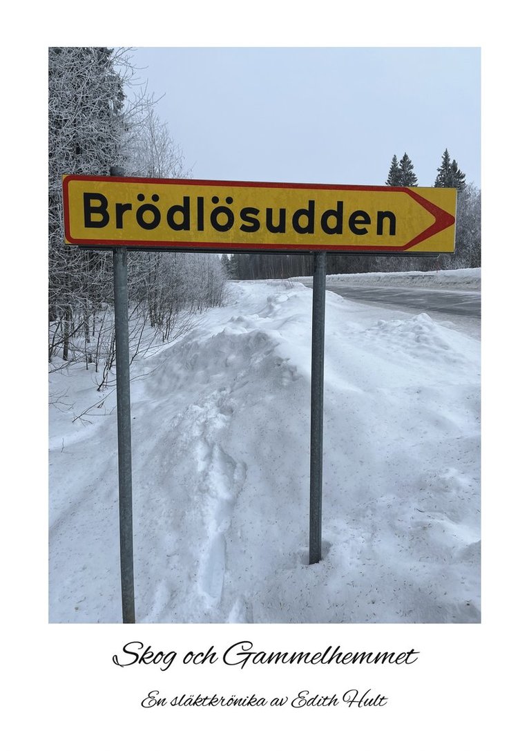 Edith Hult - Brödlösudden: Skog och Gammelhemmet, E-bok