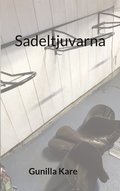 Sadeltjuvarna