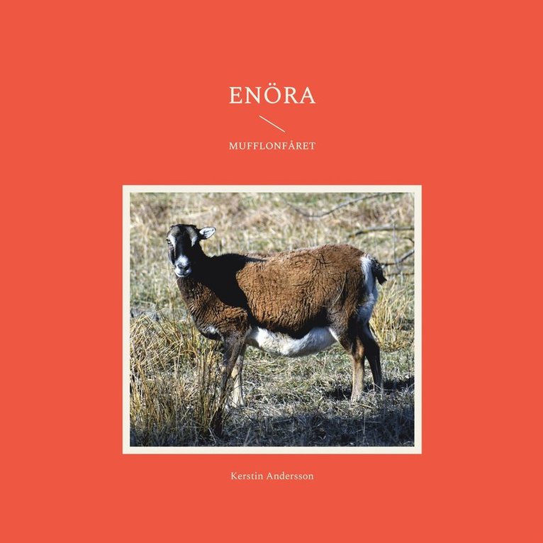 Kerstin Andersson - Enöra: I fårhagen, E-bok