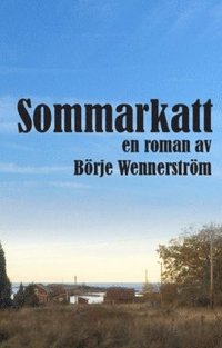Sommarkatt