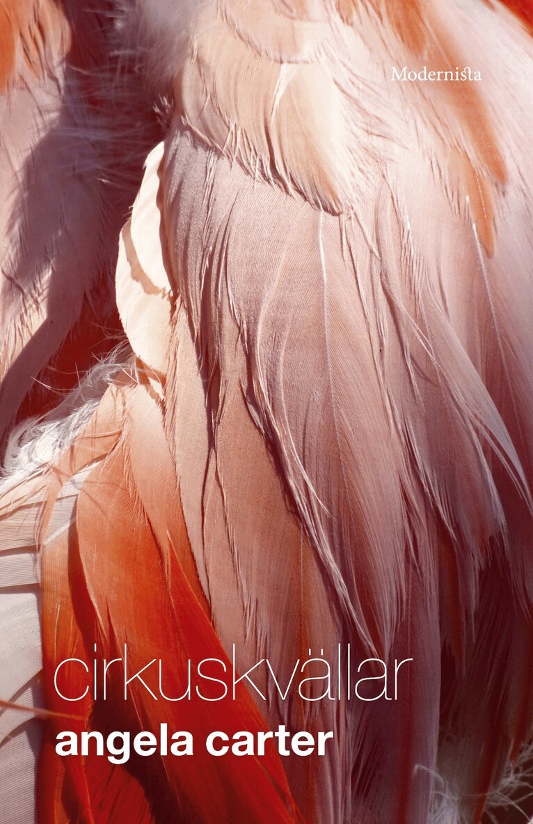 Angela Carter - Cirkuskvällar, E-bok
