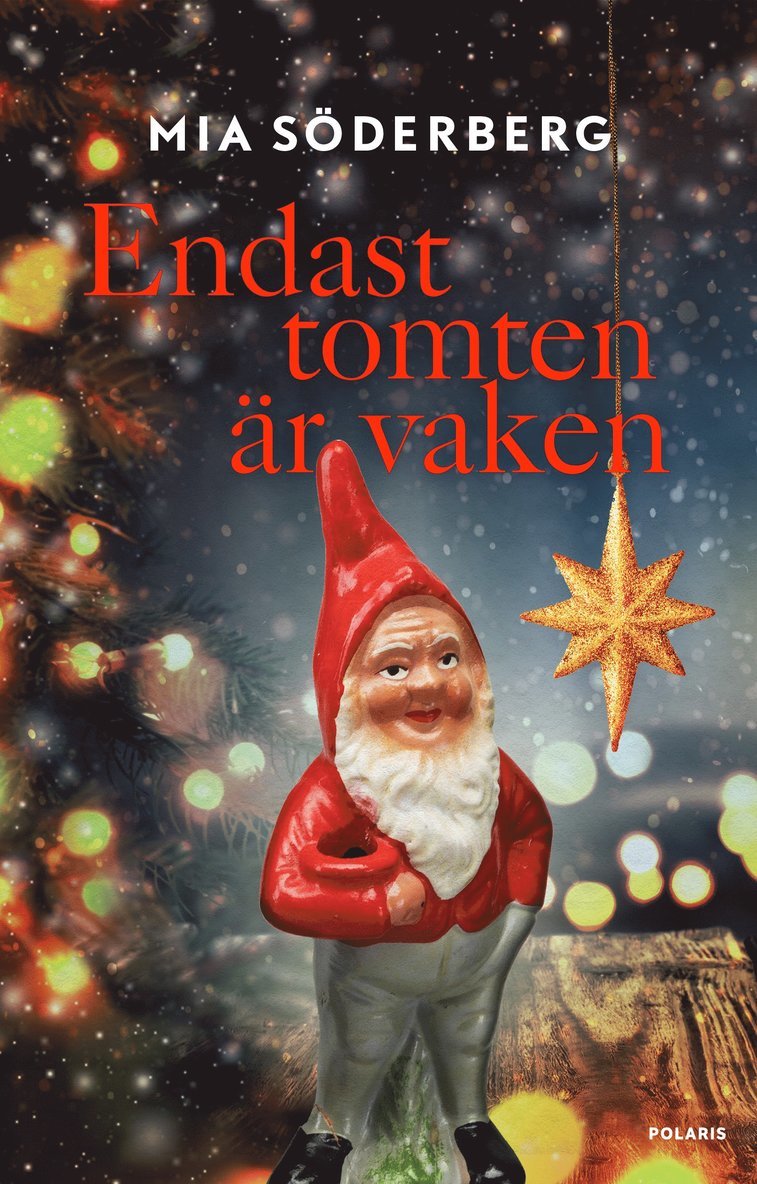 Mia Söderberg - Endast tomten är vaken, E-bok