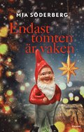 Endast tomten r vaken