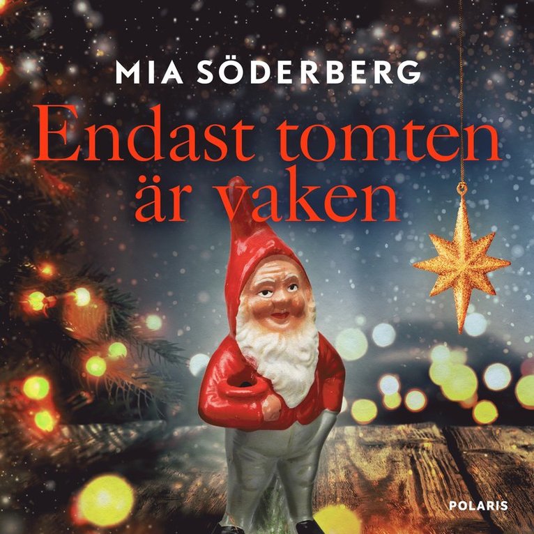 Mia Söderberg - Endast tomten är vaken, Ljudbok