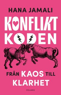 Konfliktkoden : fr�n kaos till klarhet