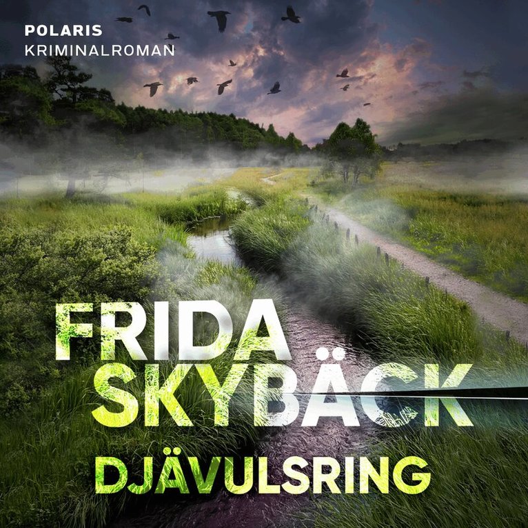 Frida Skybäck - Djävulsring, Ljudbok