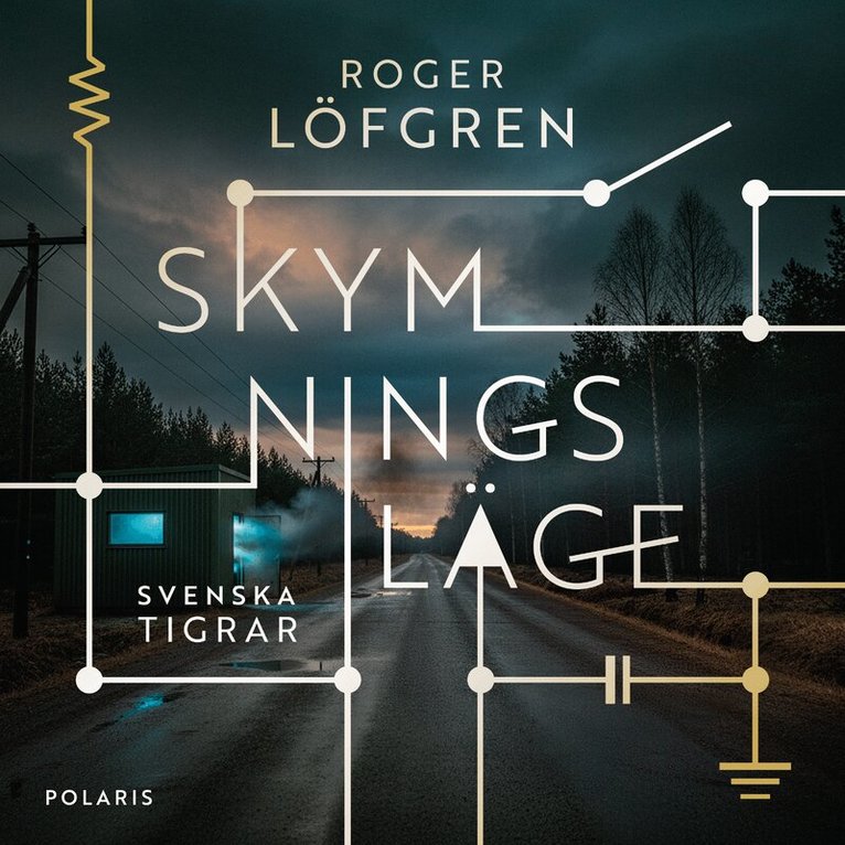 Roger Löfgren - Skymningsläge, Ljudbok