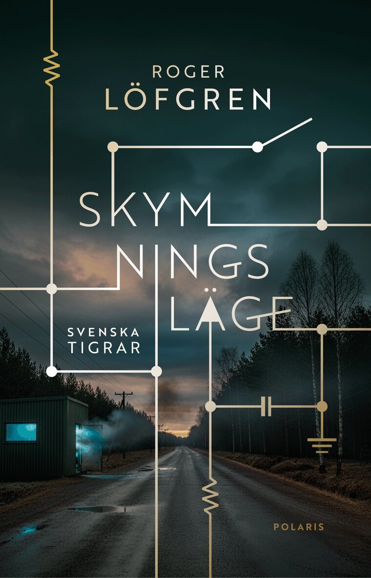 Roger Löfgren - Skymningsläge, E-bok