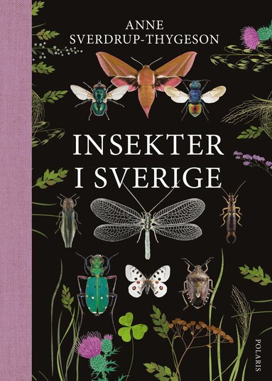 Anne Sverdrup-Thygeson - Insekter i Sverige, Häftad