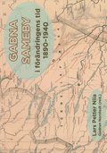 Gabna sameby i frndringens tid 1890-1940