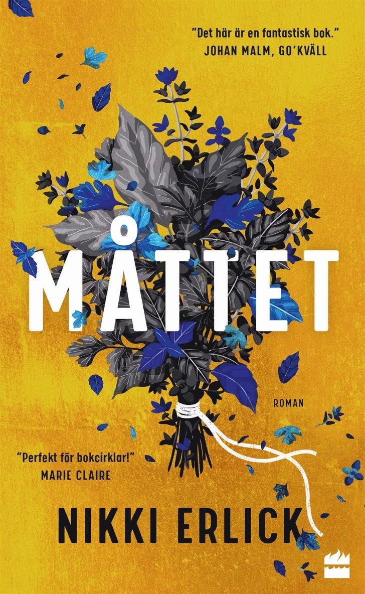 Nikki Erlick - Måttet, E-bok