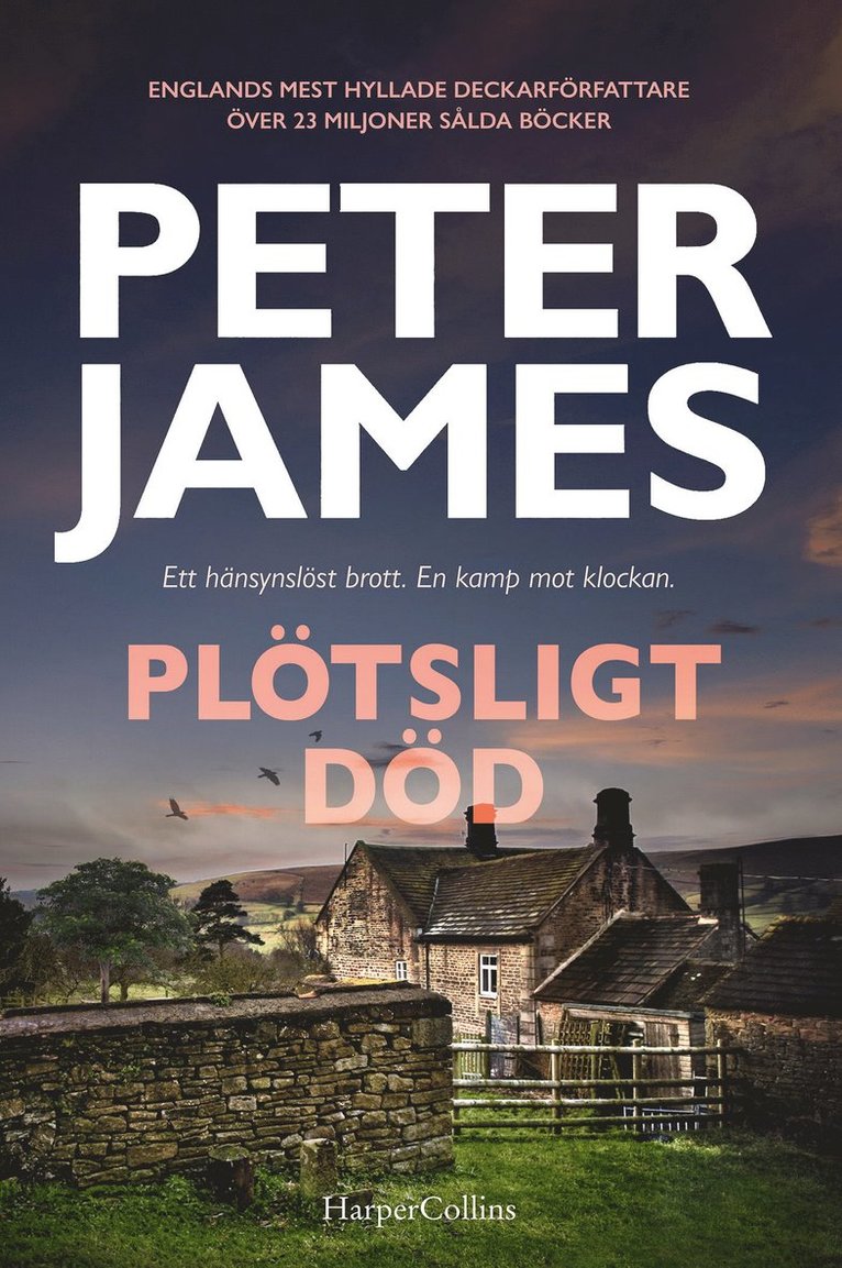 Peter James - Plötsligt död, E-bok