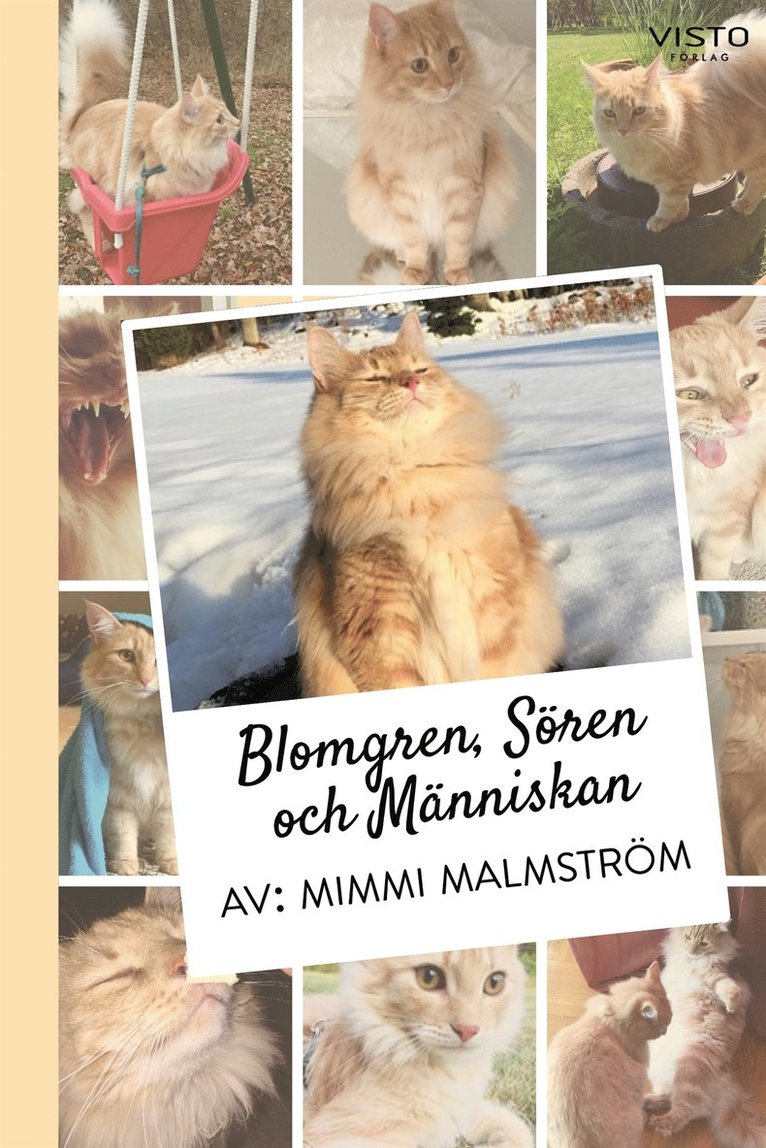 Mimmi Malmström - Blomgren, Sören och Människan, E-bok