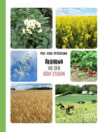 �krarna vid den r�da stugan