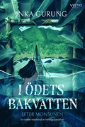 I dets bakvatten : efter monsunen