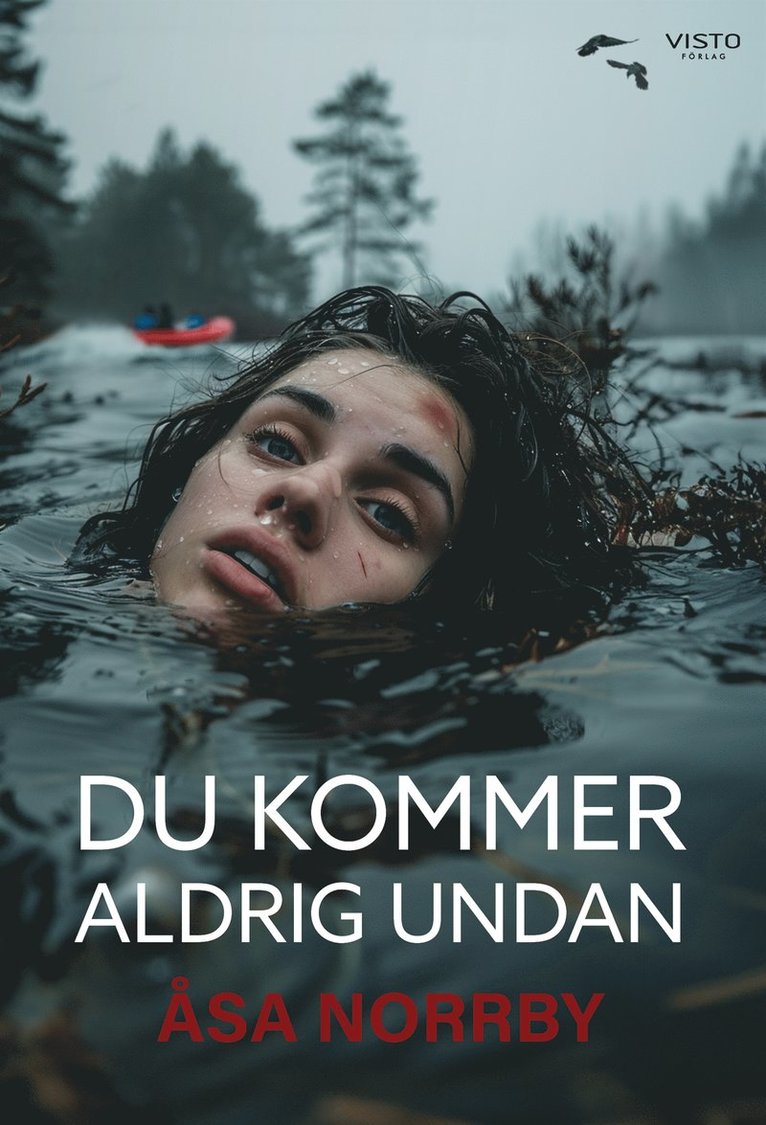 Åsa Norrby - Du kommer aldrig undan, E-bok