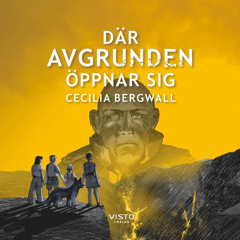 Cecilia Bergwall - Där Avgrunden öppnar sig, Ljudbok